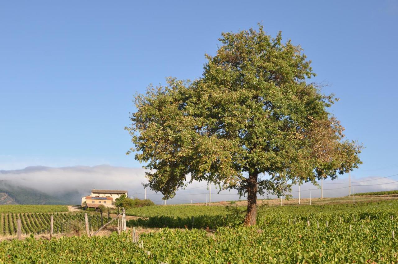 Gite le Pot de Vin Lancié Extérieur photo